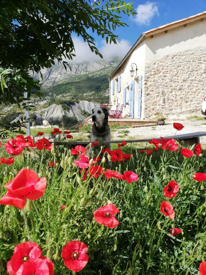 Gaia, Maison D'Hotes Verdon, Vue Feerique Blieux Eksteriør bilde